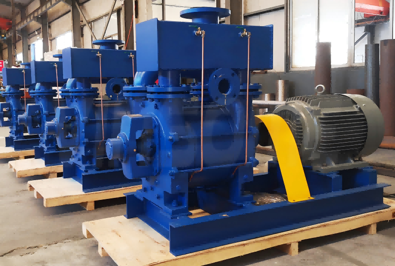 Liquid-Ring Vacuum Pumps: Types and Hydroblue Pump's Solutions